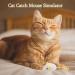 BNXF 11 Pcs Cat Catnip Mice Toys for Cat Cat chew Sticks Catnip Teeth Cleaning Toys Catnip Teeth Cleaning Toys for Kick Bite Soft Mouse Toys Playing Chewing Teeth Cleaning for Cat Kitten - Buy Online on GoSupps.com