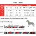Heele Dog Collar for Small to Large Dogs | Adjustable Comfortable and Durable Patterns for Puppies | XS Size (21.6-28cm) - Buy Online on GoSupps.com