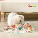 Pawaboo 2 in 1 Electric Cat Toys USB Rechargeable Automatic Cat Exercise Teaser Toy with 3pcs Replacement Indoor Interactive Cat Toy Pop and Play Feather Teaser Wand Toy for Cat Kitten Kitty Green - Buy Online on GoSupps.com