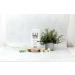 Tints of Nature Bold Pasteliser M lange pour Tons Pastel et Nuances Att nu es Vegan 70 ml - Buy Online on GoSupps.com