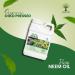 Nature's Will Pure Organic Neem Oil for Indoor and Outdoor Plants and Vegetable - 32 Fl Oz. - Buy Online on GoSupps.com