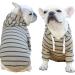 Zweitea Striped Hoodie for Small & Medium Dogs | Soft Sweatshirt & T-Shirt for Puppies | Stylish Khaki Hooded Jacket - Buy Online on GoSupps.com