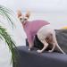 Bonaweite Sphynx Cat Sweaters - Turtleneck Kitten Clothes XS-2XL, PurpleRed - Buy Online on GoSupps.com