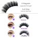 Magnetic Eyeliner and Lashes Kit Upgraded Eyeliner 3 Styles Magnetic Eyelashes with Waterproof Long-lasting Magnetic Liquid Eyeliner Non-toxic Long lasting Reusable GLUE FREE Cruelty Free Little Black - Buy Online on GoSupps.com