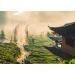 Lais Puzzle Ban Rak Thai Village Mae Hong Son Province Northern Thailand 1000 pieces - Buy Online on GoSupps.com