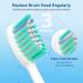 8 Pack Soft Replacement Toothbrush Heads | Compatible with Philips Sonicare | Click-on Design | High-Quality Brush Heads - Buy Online on GoSupps.com