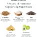 Nourishing Protein Blend for Hormonal Balance Vegan Gluten-Free All-Natural Supports PMS & Menopause Relief 1-Week Supply Vanilla Flavor Vanilla 9.38 Ounce (Pack of 1) - Buy Online on GoSupps.com