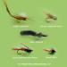 YAZHIDA Fly Fishing Set - Complete Dry Wet Nymph Flies + Mini Fly Box (Mayfly/Skunk) | Best International Shipping - Buy Online on GoSupps.com