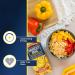 Muscle Mac High Protein Mac & Cheese Box | 20g Protein Macaroni Made with Real Cheese | Sharing Size Stovetop Boxes GMO Free Dye & Colour Free | 6.75oz Box (Pack of 10 Boxes) Cheddar Pack of 10 Boxes - Buy Online on GoSupps.com