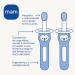 Mam Baby's Brush Set C121 - 2-Piece Toothbrush Set for 6+ Months - Compact Handle & Safety Ring - Buy Online on GoSupps.com