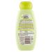 Garnier Ultra Dolce Purifying Shampoo with Sweet Clay & Cedar | Best International Shipping - Buy Online on GoSupps.com