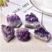 Natural Crystal Rough 1PC Natural Amethyst Crystal Cluster Quartz Raw Crystals Stone Decoration Ornament Purple Feng Shui Stone Ore Crafts 1PC Random Delivery - Buy Online on GoSupps.com