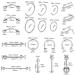 JIESIBAO 100PCS Piercing Kit - 12G 14G 16G Needles & Clamps for Nose Septum Belly Button Lip Tongue Eyebrow Cartilage & More - Professional Piercing Tools - Fast International Shipping - Buy Online on GoSupps.com