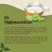 Sports equipment Mynatura Organic peppermint leaves dried I peppermint I whole leaves I peppermint tea I herbal tea I aroma I in bag 1000 g - Buy Online on GoSupps.com