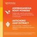 HAVASU NUTRITION High Strength Ashwagandha Supplement Capsules (45 Servings) & L Arginine L Citrulline Supplement (30 Servings) - Buy Online on GoSupps.com