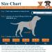Vivaglory Durable Pet Security Vest for Dogs | Sporty Neoprene Rescue Vest | Comfortable Orange XS (43-51cm) | International Shipping Available - Buy Online on GoSupps.com