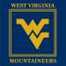 West Virginia Mountaineers Party Supplies - Serves 16 | 48 Pieces Pack - Buy Online on GoSupps.com