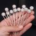 Ammei Headpiece Crystal Bridal Hair Pins Clips Wedding Hair Accessories Hair Set Jewelry With Rhinestone For Brides and Bridesmaids Set Of 12 (Silver)