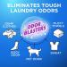 Arm & Hammer Plus Odor Blasters 5in1 168ct (4x42ct) - Pack of 4 - Buy Online on GoSupps.com