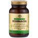 Solgar Echinacea 100 Vegetable Capsules - Immune Support - Full Potency (FP) - Non-GMO Gluten Free Dairy Free Kosher - 100 Servings