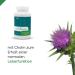 Orthobiotix Milk Thistle Complex - Vegan 120 Capsules with Choline Artichokes & Dandelion Extract - High-Dose Plant-Based Support - Buy Online on GoSupps.com