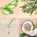Organic Anti-Aging Eye Cream | Reduce Dark Circles & Puffiness | Natural Under Eye Serum with Hyaluronic Acid Jojoba Oil Vitamin E & Aloe Vera | 1 Fl Oz - Buy Online on GoSupps.com