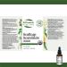 St. Francis Herb Farm Scullcap Herbal Tincture Liquid | Used to Help Relieve Nervousness | Used as a Sleep Aid | Helps Relieve Menstrual Pain | Organic | Non-GMO | Lactose-Free | (50ml) 50 ml (Pack of 1) - Buy Online on GoSupps.com