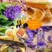 VAL Happy Kids Calmness & Relaxation Essential Oil Blend - Kid Safe Aromatherapy for Diffusers | 0.5 oz (15 ml) - International Shipping Available - Buy Online on GoSupps.com