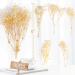 50Pcs Mini Dried Baby's Breath Flowers - Ivory White Bulk Gypsophila Bouquet for Resin Art & DIY Crafts | Perfect Mother's Day Gift, Wedding Decor, Card Making, Home Decor - Buy Online on GoSupps.com