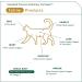 Standard Process Feline Whole Body Support 90 Tablets - Daily Cat Supplement - Buy Online on GoSupps.com