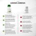 Fairvital Garcinia Cambogia Capsules | 500mg High Dose - 60% HCA - Vegan - 90 Capsules for Weight Loss & Appetite Control - International Shipping Available - Buy Online on GoSupps.com
