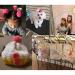 Honbay 12PCS Korean Cute Pom Pom Ball Elastic Hair Ties - Seamless Hair Ropes Ponytail Holders - Buy Online on GoSupps.com