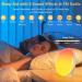 Light Alarm Clock - Sunrise Sunset Simulation Double Alarms 20 Brightness Levels 19 Colors & FM Radio - Perfect Wake-Up Light for Adults & Children - Buy Online on GoSupps.com