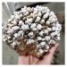 Room Decoration Natural Rough Crystalline Crystal Stone Zeolite Quartz Apophyllite Raw Rock Decorations Specimens Collection Bulk Raw Stones and Minerals (Size : 1.0-1.15kg)