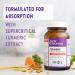 New Chapter Turmeric Supplement + Daily Detox | Non-GMO Vegetarian Capsules 60ct - Buy Online on GoSupps.com