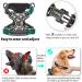 Heele Dog Crockery & Adjustable Reflective Anti-Pull Harness for Medium Dogs - Softly Breathable Padded Handle Floral-Black Design | XS Size (33-43cm) - Buy Online on GoSupps.com