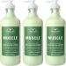 Village Naturals Therapy, Lotion, Aches and Pains Muscle Relief, 16 fl oz, Pack of 3