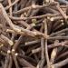 Natural Licorice Root Sticks - 100g (1/4 lb) - Vegan & Halal - 10-15 Sticks, 6-8 inches - All Natural - Buy Online on GoSupps.com