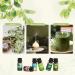 Salking Nature Essential Oil Set | Aromatherapy Fragrance Oils Gift Set | 6x10ml Pure Oils for Diffusers & Humidifiers - Pine Sea Breeze Rain Grass Wildflowers Mountain Air - Buy Online on GoSupps.com