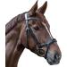 WALDHAUSEN X-Line New Shape II Bridle for Warmblood - Black | Premium Equestrian Gear International Shipping Available - Buy Online on GoSupps.com