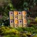 Laumire Gourmet Fruits Superfood Parfait Collection Gift Basket - No Added Sugar, Gluten Free Dried Fruit Mix - Rectangle & Square (Square) - Buy Online on GoSupps.com