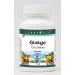 Ginkgo 12% Powder (1 oz ZIN: 520208) - 3 Pack