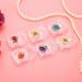 Nail Art Decor Soft And Safe Nail Dry Flower Decor Bright Colors Nail Decoration Natural Flower Perfect Choice Beauty Salon for Home Woman Manicure Store - Buy Online on GoSupps.com