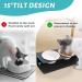 3PCS Ceramic Cat Food Bowls on 15 Tilted Metal Stand | Raised Cat Feeding Station for Cats and Puppies - Buy Online on GoSupps.com