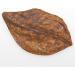 JBL Catappa 25198 - 10 XL Tropical Almond Leaves for Freshwater Aquariums | International Shipping Available - Buy Online on GoSupps.com