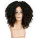 Curly Afro Wig for Dark-Skinned Women | Real Hair Lace Front Loose Synthetic Ponytail - WL9302 - Buy Online on GoSupps.com
