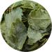 GOARTEA 250g Supreme Tieguanyin Oolong Tea - High Mountain Iron Goddess Fujian Anxi Chinese Tea - Buy Online on GoSupps.com