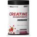 Olivit Creatine Berry Blast 500g Micronized Creatine Monohydrate for Enhanced Absorption & Performance Supports Strength Muscle Growth and Recovery VeganFriendly Pure Formula