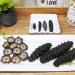 DOL Wild Caught Sun Dried Atlantic Black Pin Sea Cucumber 8oz - All Natural Nutritious, Large Size - 1 Count - Buy Online on GoSupps.com