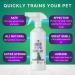 Afterglobe Pet Urine Repellent Spray 300ml - Safe Dog & Cat Training Solution | Natural Indoor Puppy Toilet Training & Pee Repellent - Buy Online on GoSupps.com